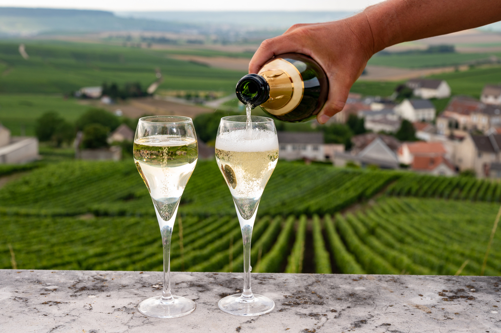 Degustación en viñedos verdes de Champagne, en Francia. Foto: Shutterstock